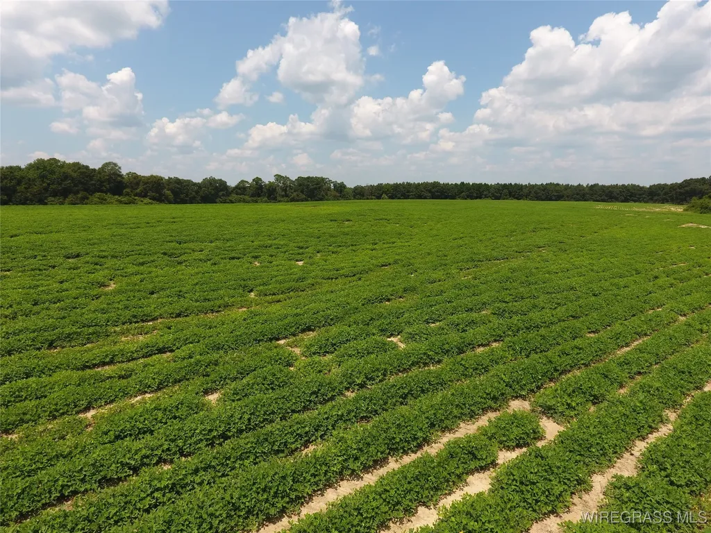 0 Chamblee Road Kinston AL 36453