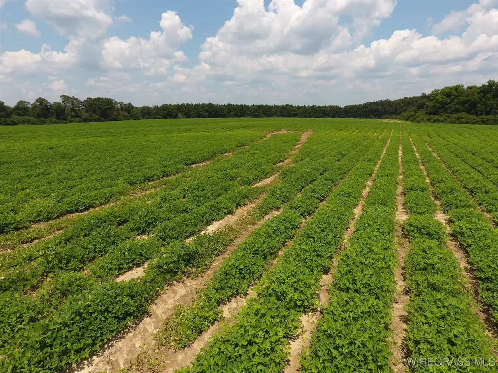 0 Chamblee Road Kinston AL 36453