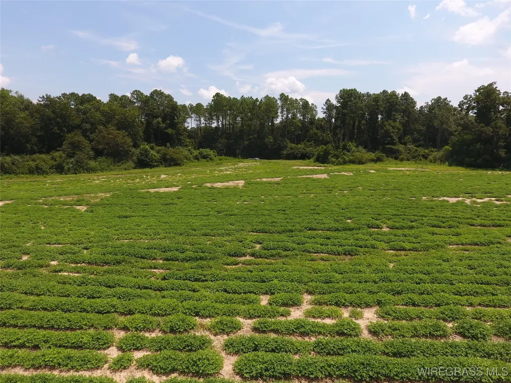 0 Chamblee Road Kinston AL 36453