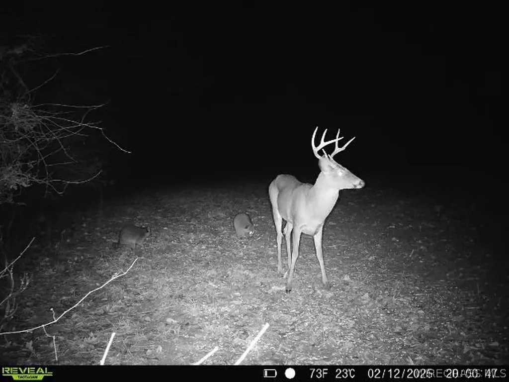 0 Chamblee Road Kinston AL 36453