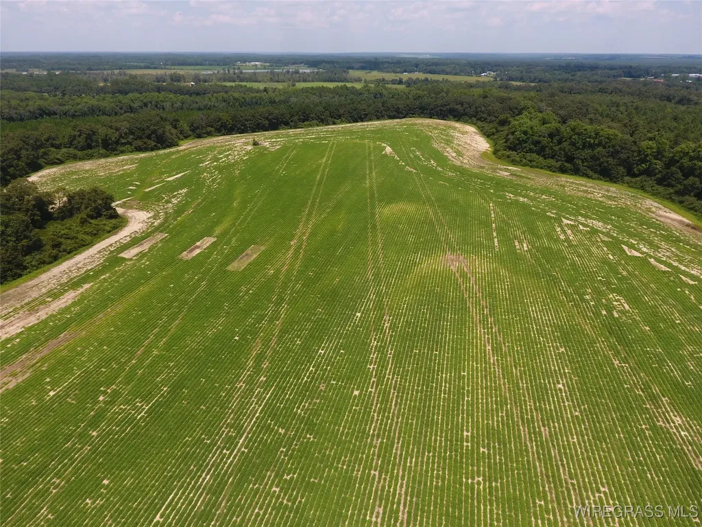 0 Chamblee Road Kinston AL 36453