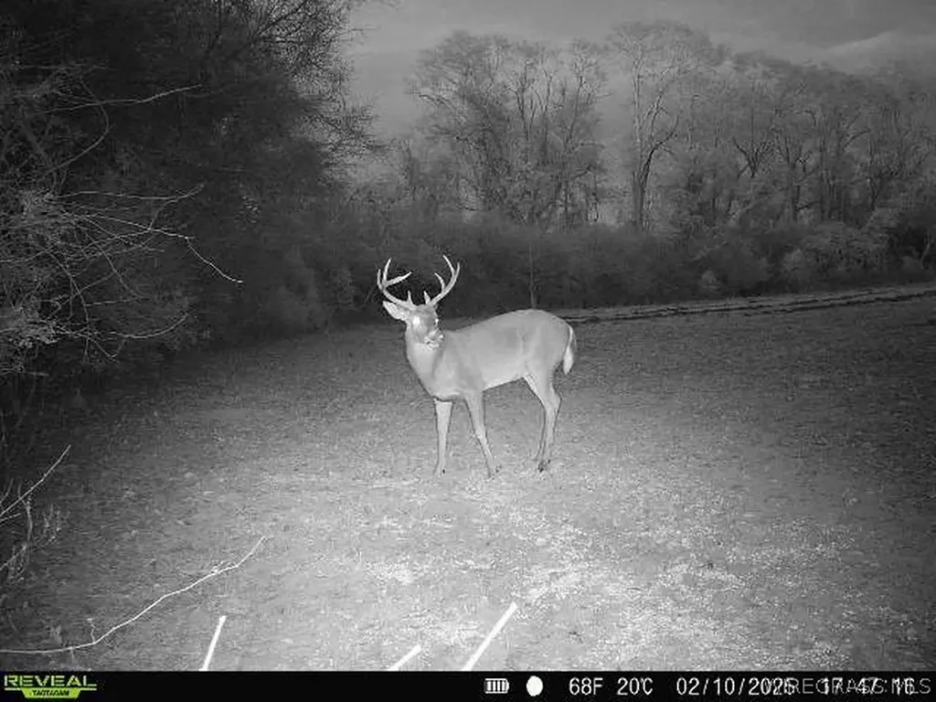 0 Chamblee Road Kinston AL 36453