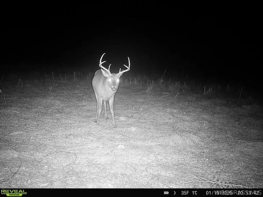 0 Chamblee Road Kinston AL 36453