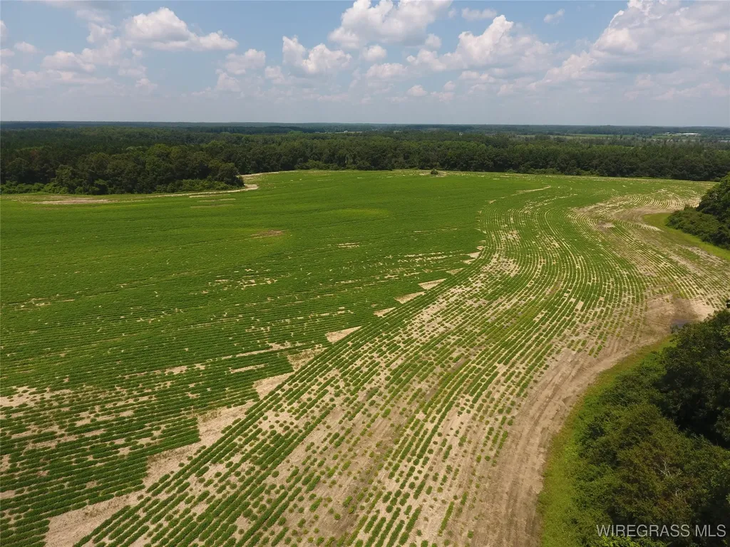 0 Chamblee Road Kinston AL 36453