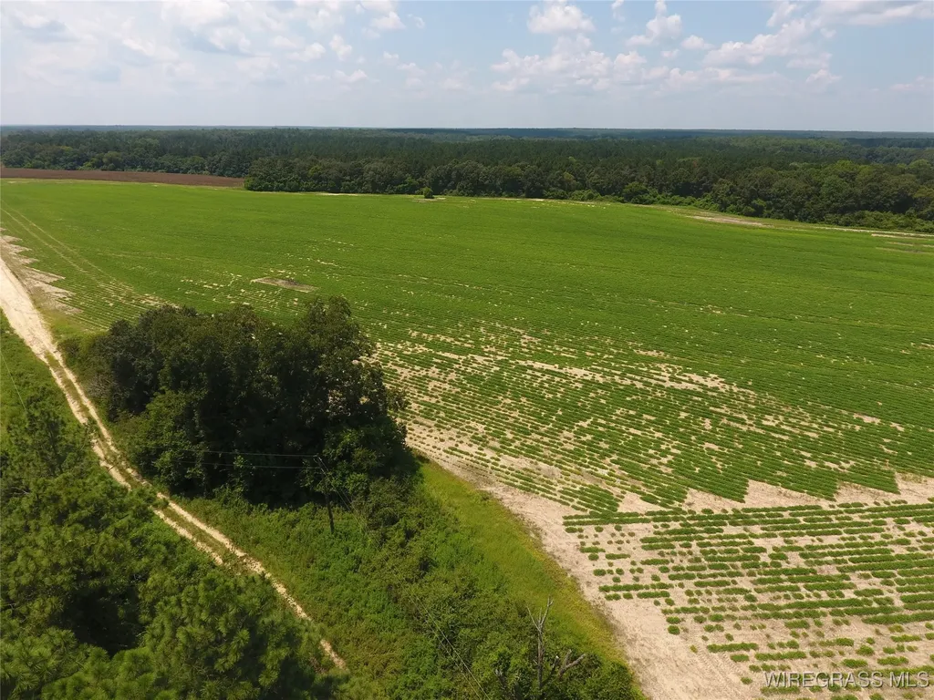 0 Chamblee Road Kinston AL 36453