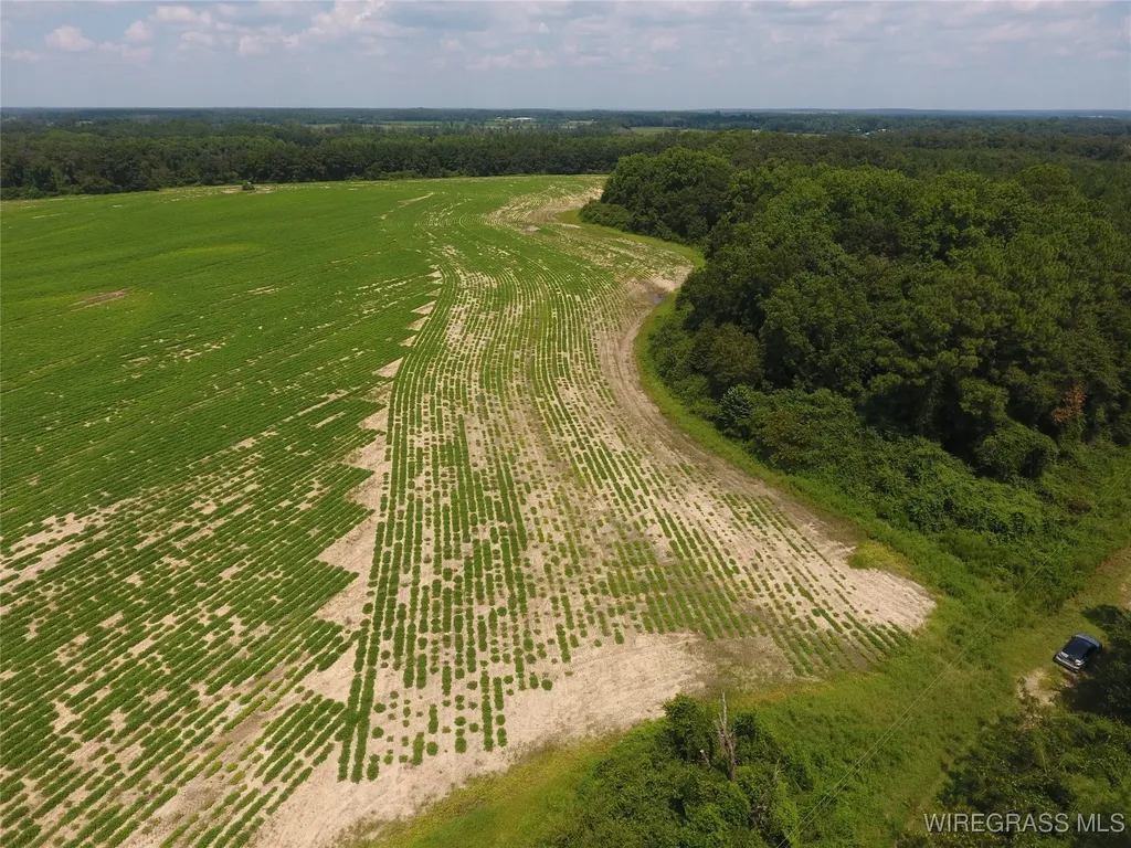 0 Chamblee Road Kinston AL 36453