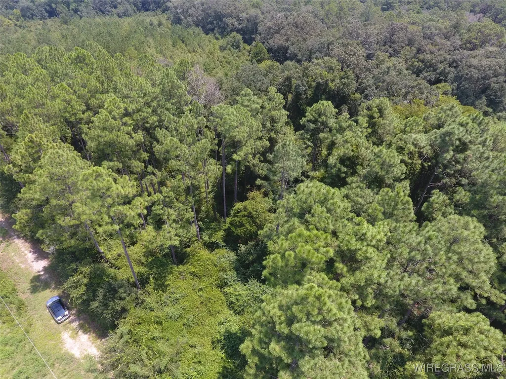 0 Chamblee Road Kinston AL 36453