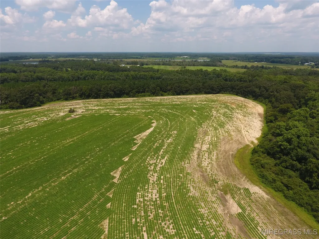 0 Chamblee Road Kinston AL 36453