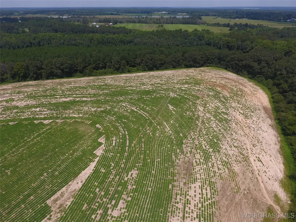 0 Chamblee Road Kinston AL 36453