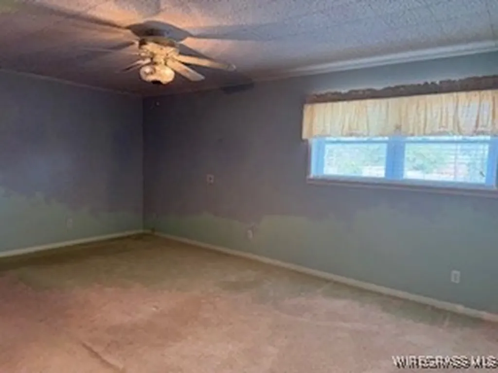 1119 Reese Avenue Elba AL 36323