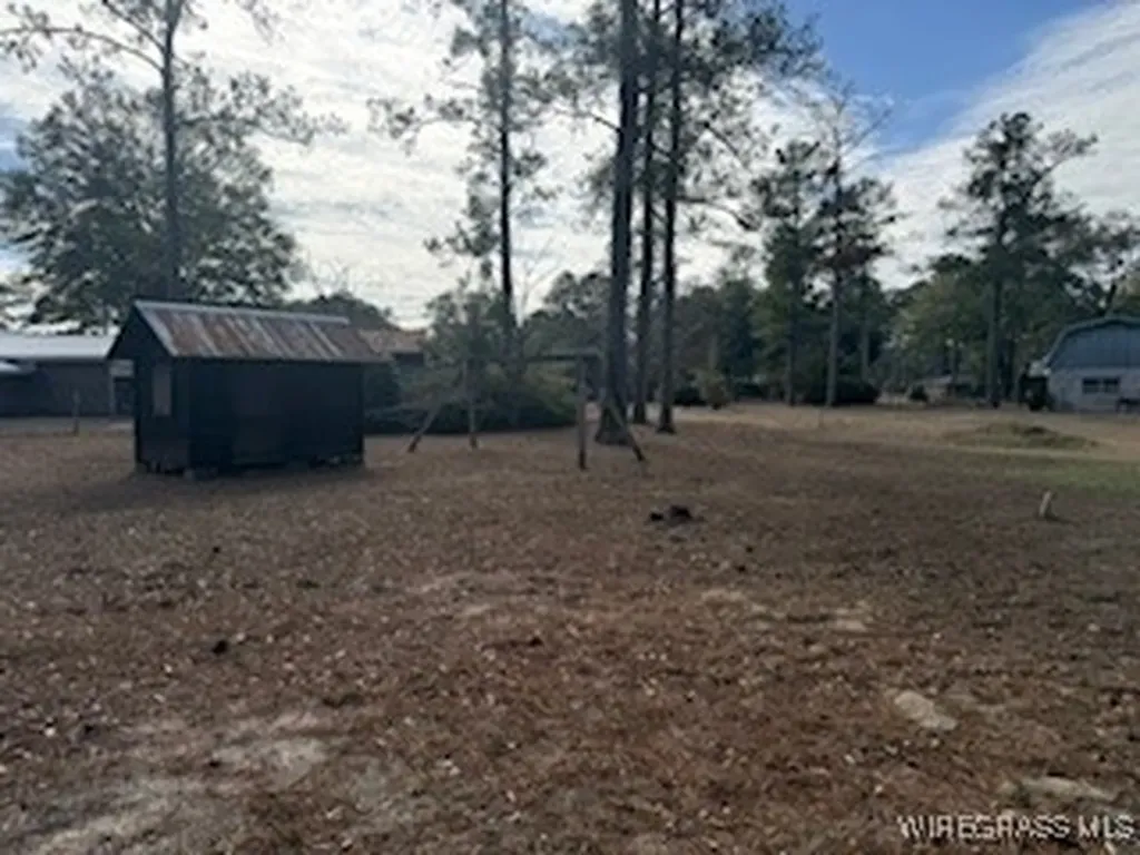 1119 Reese Avenue Elba AL 36323
