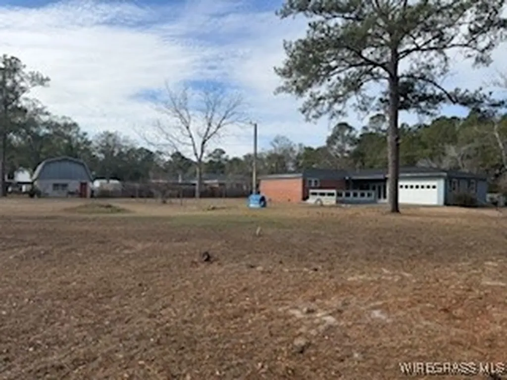 1119 Reese Avenue Elba AL 36323