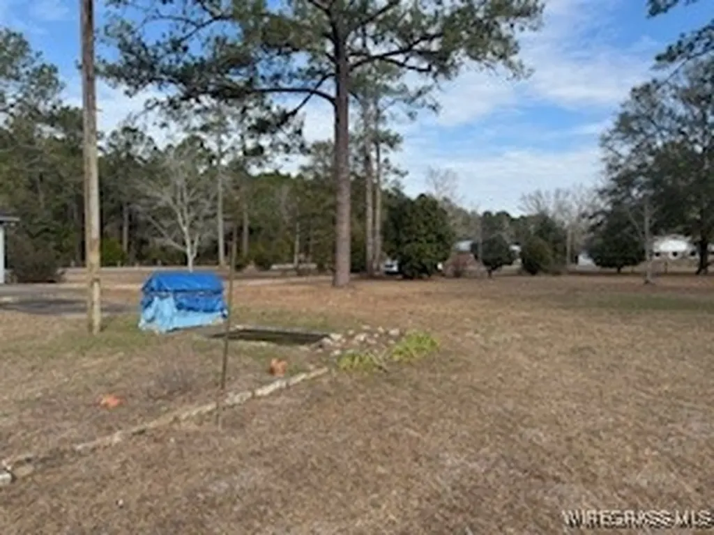 1119 Reese Avenue Elba AL 36323