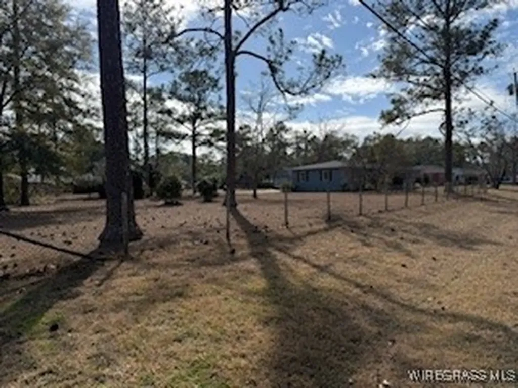 1119 Reese Avenue Elba AL 36323