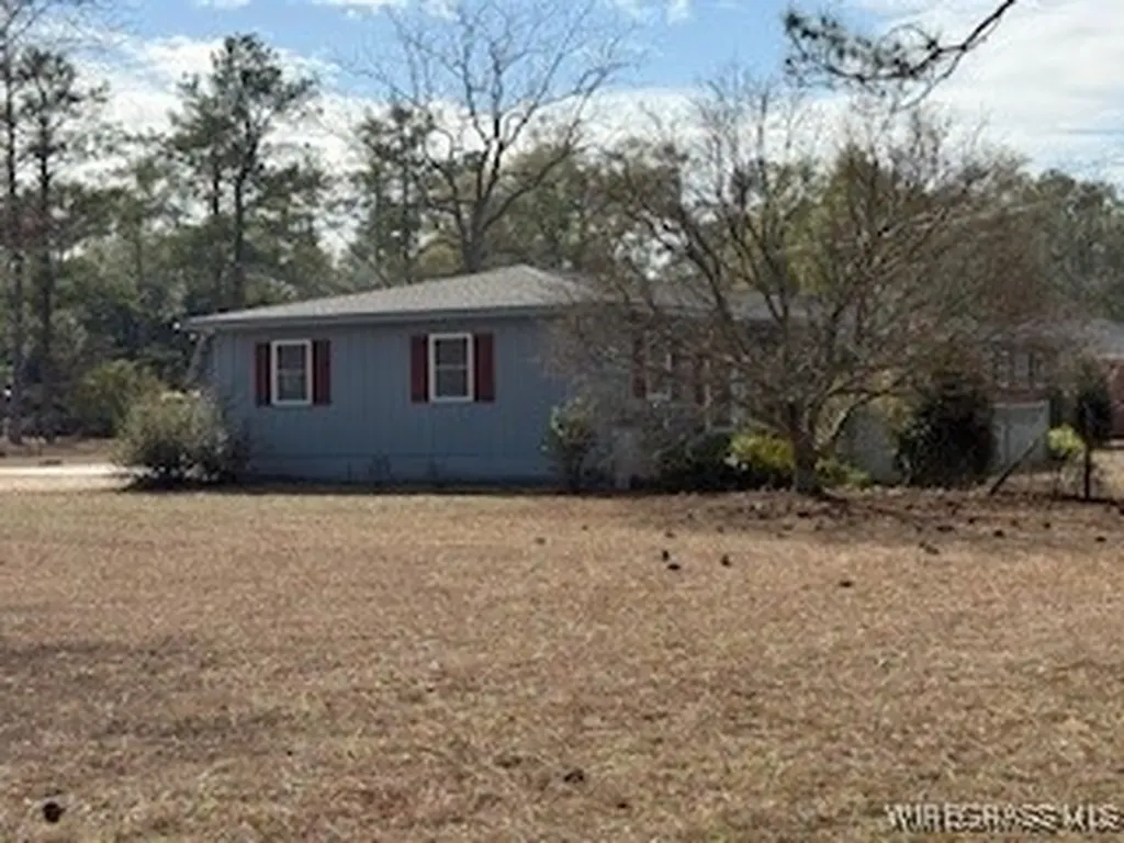 1119 Reese Avenue Elba AL 36323
