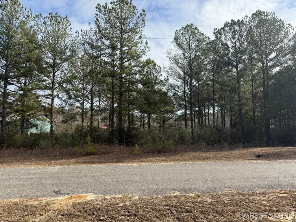 27755 Harbor Road Andalusia AL 36421