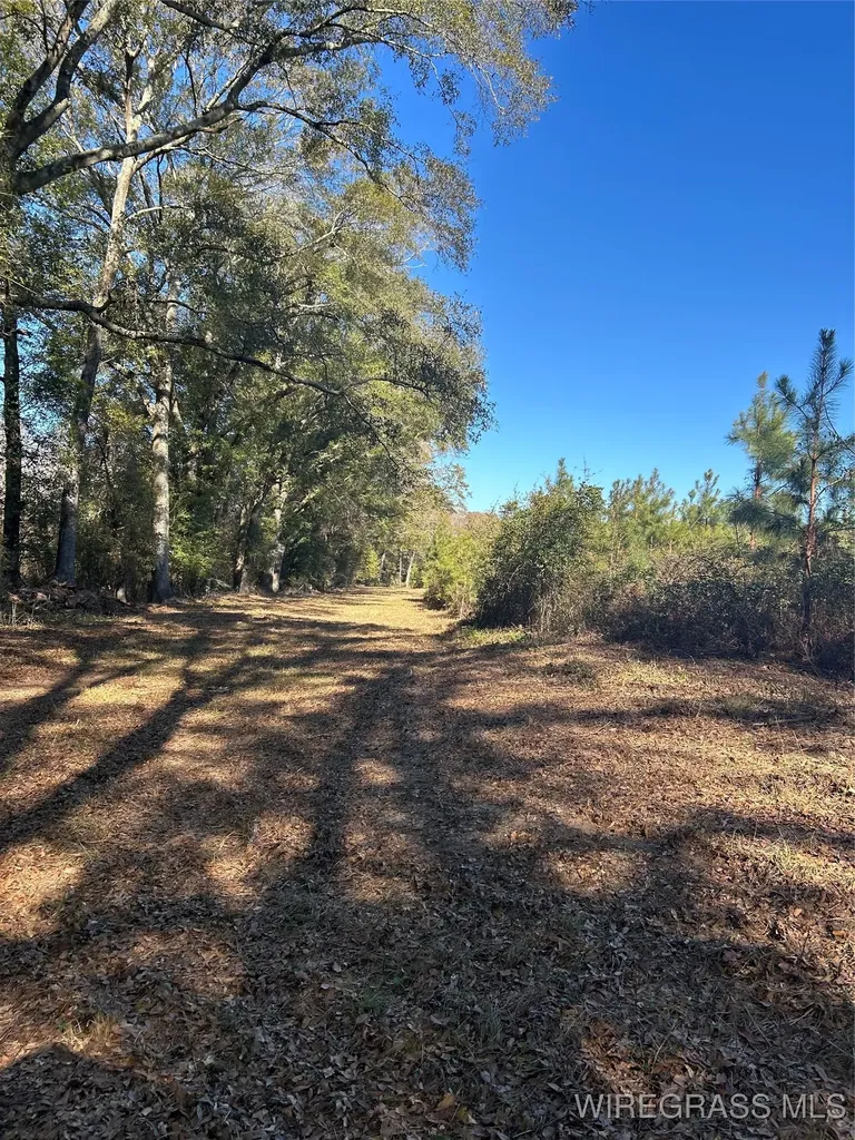 1331 County Road 712 Enterprise AL 36330