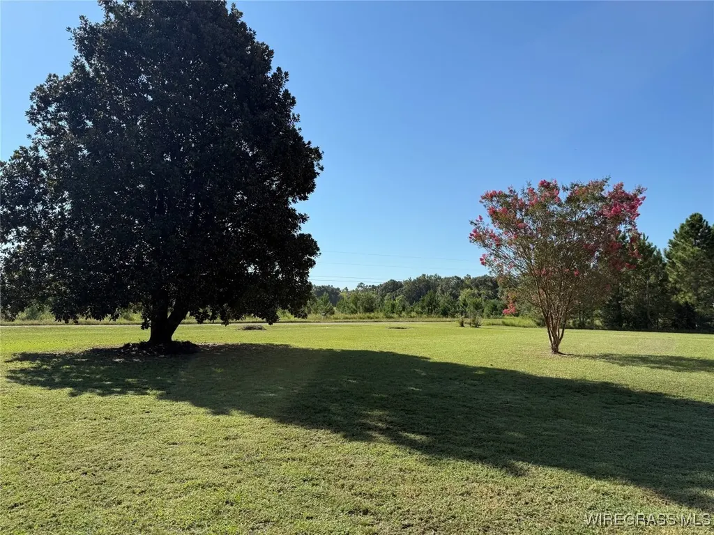 4153 County Road 5 Kinston AL 36453