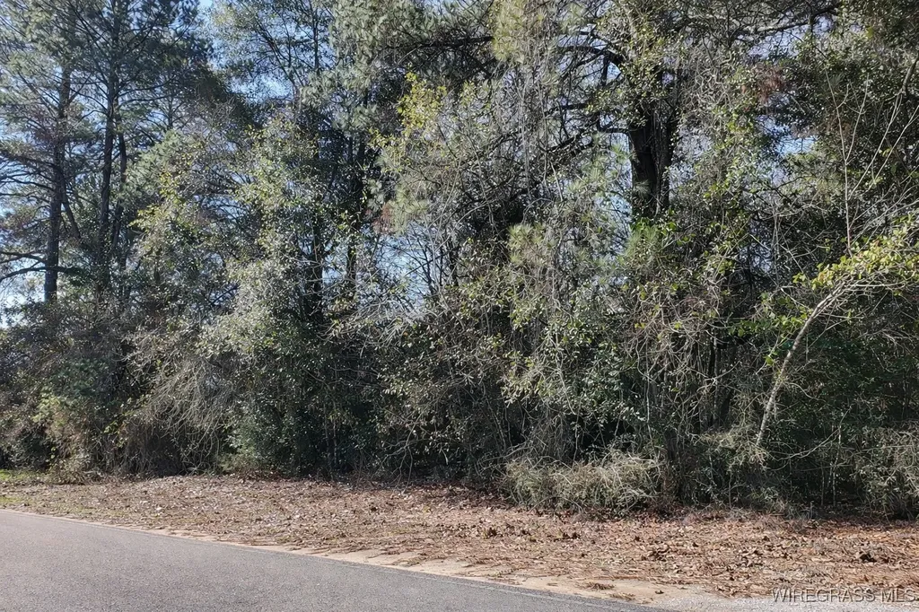 1650 Gritney Road Daleville AL 36322