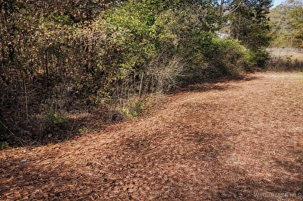 1650 Gritney Road Daleville AL 36322