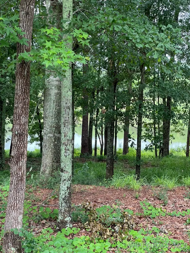 0 Private Road 1601 Chancellor AL 36316