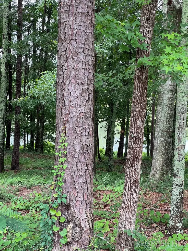 0 Private Road 1601 Chancellor AL 36316