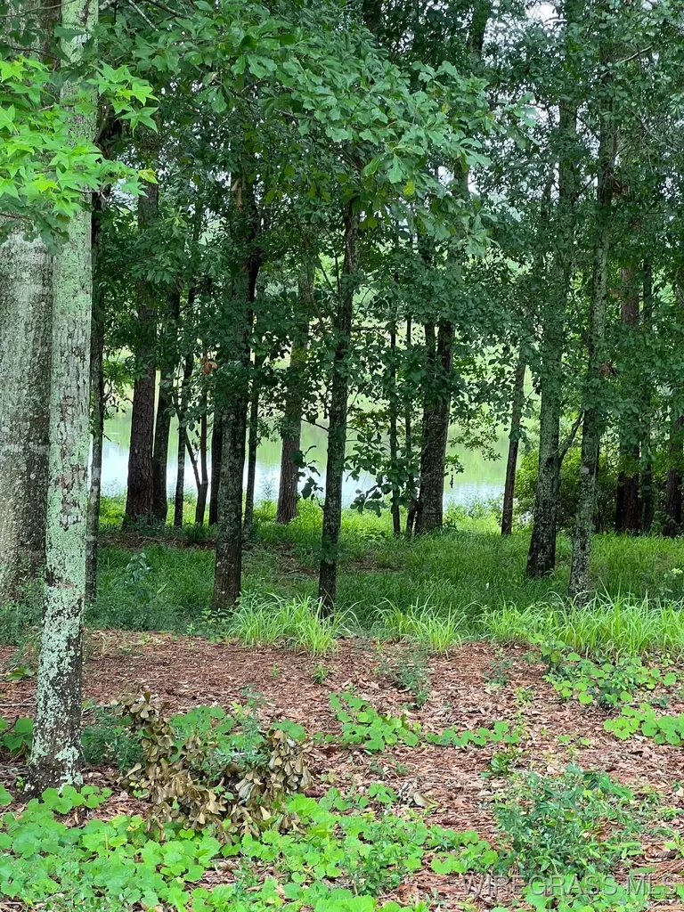 0 Private Road 1601 Chancellor AL 36316