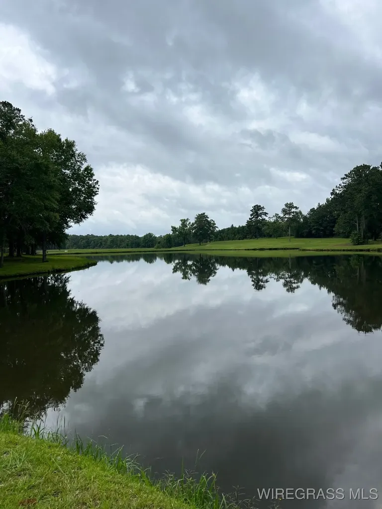 0 Private Road 1601 Chancellor AL 36316