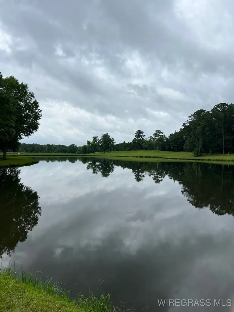 0 Private Road 1601 Chancellor AL 36316