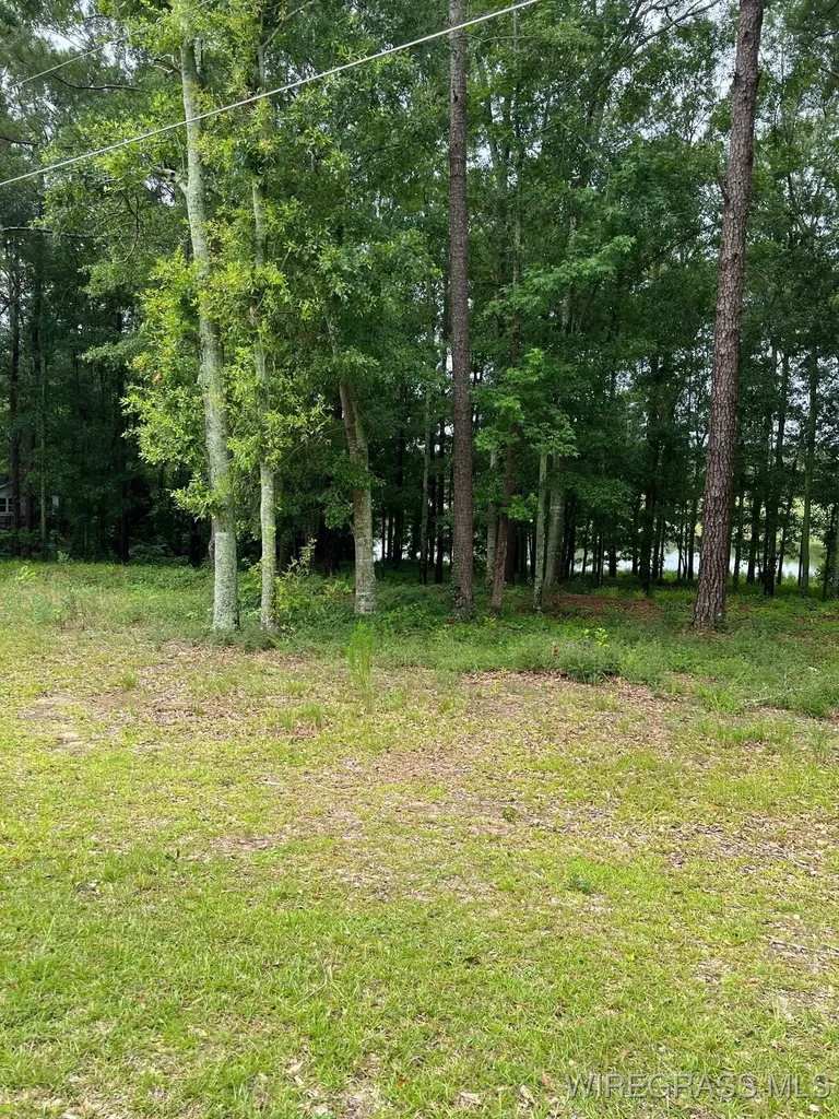 0 Private Road 1601 Chancellor AL 36316