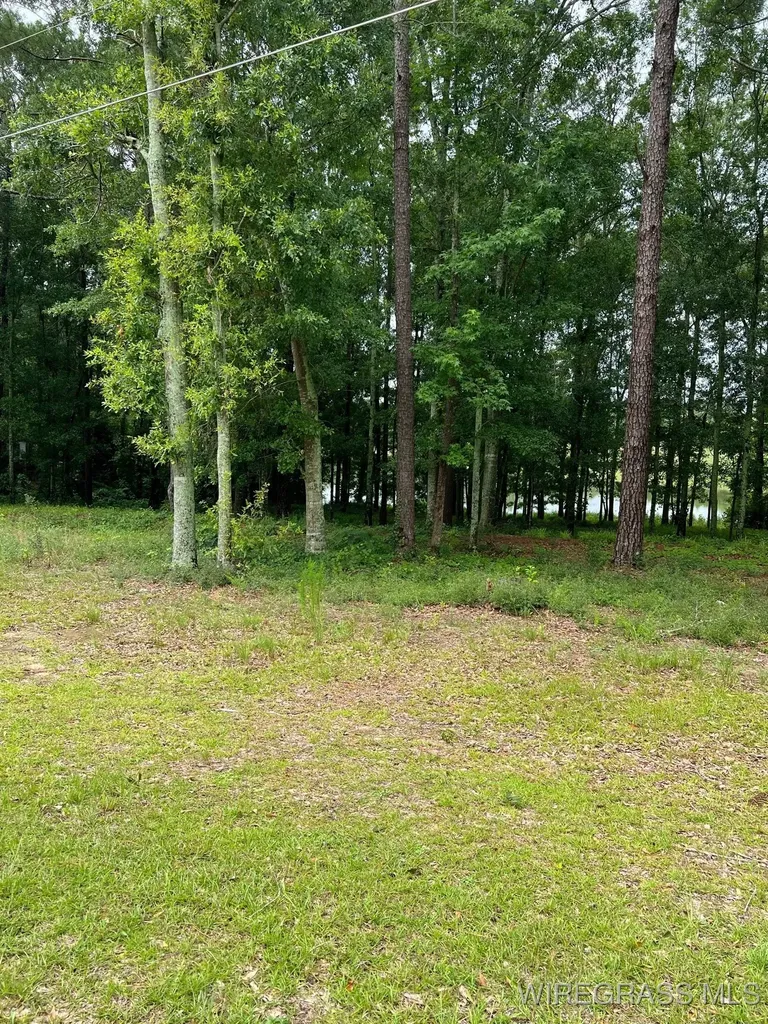 0 Private Road 1601 Chancellor AL 36316