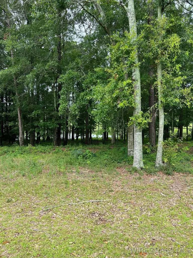 0 Private Road 1601 Chancellor AL 36316