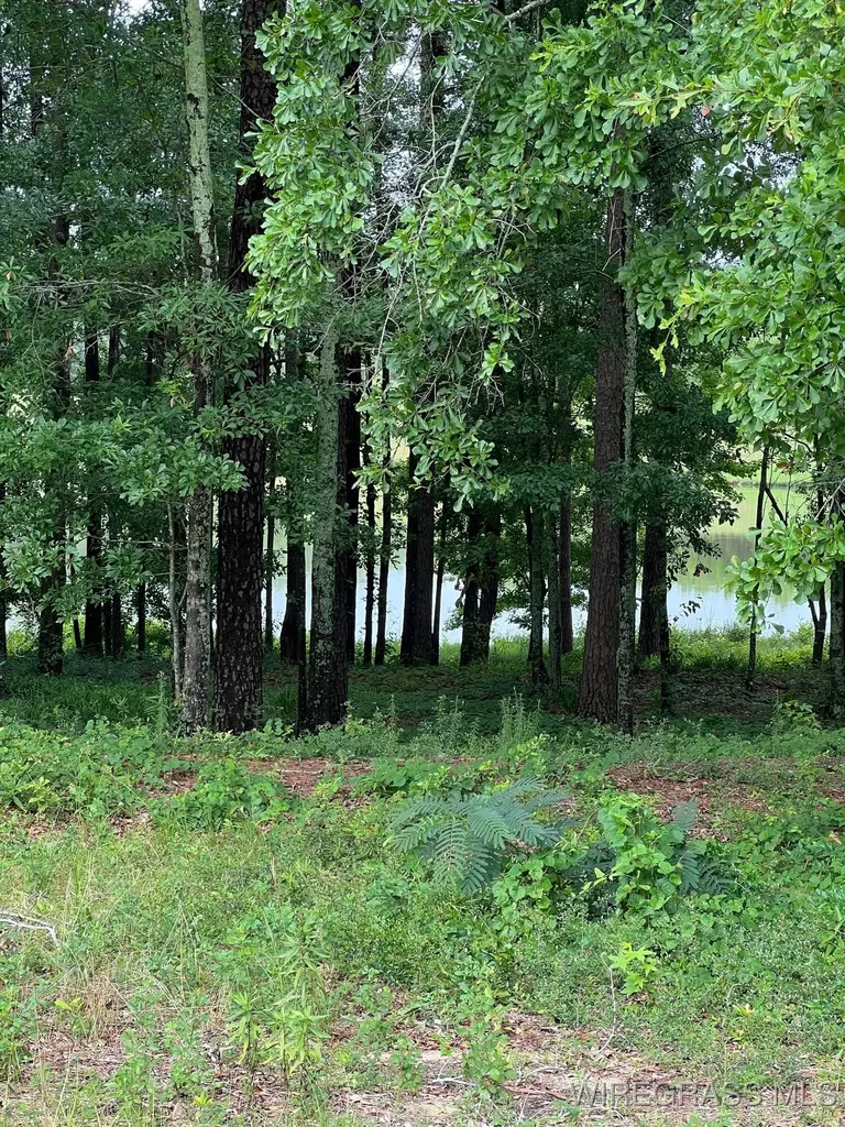 0 Private Road 1601 Chancellor AL 36316