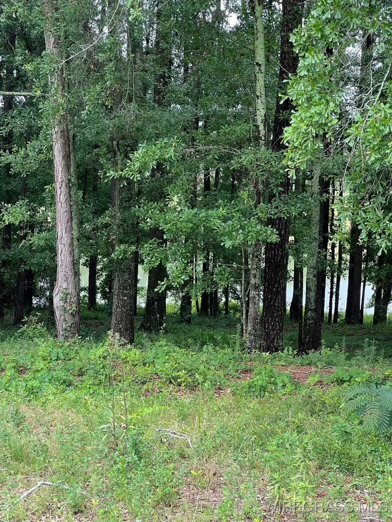 0 Private Road 1601 Chancellor AL 36316