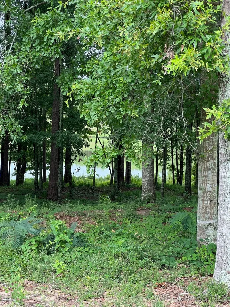 0 Private Road 1601 Chancellor AL 36316