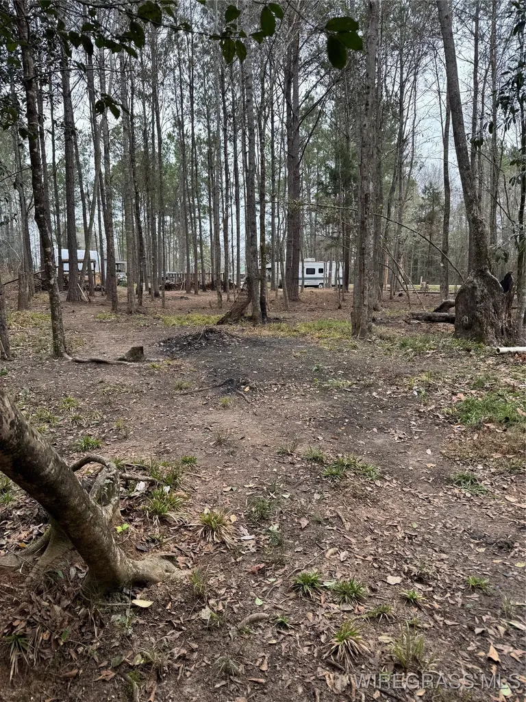 3831 Highway 31 Highway Castleberry AL 36432