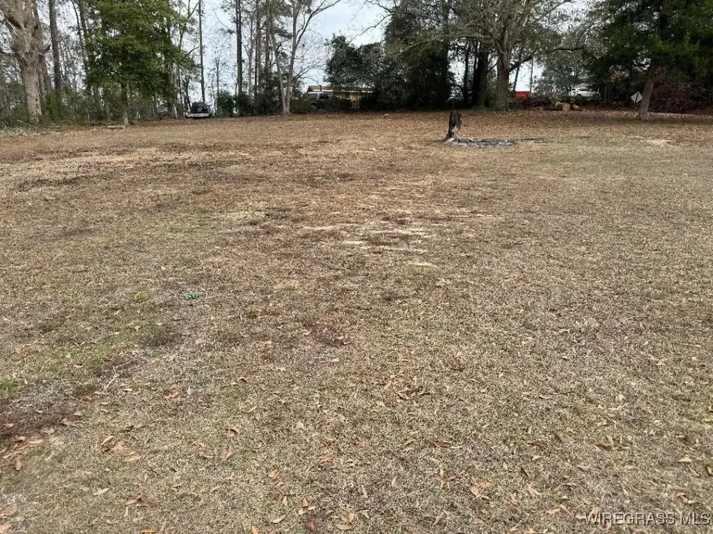 208 Green Street Enterprise AL 36330