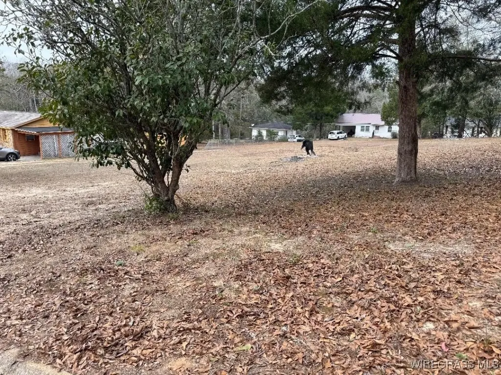 208 Green Street Enterprise AL 36330