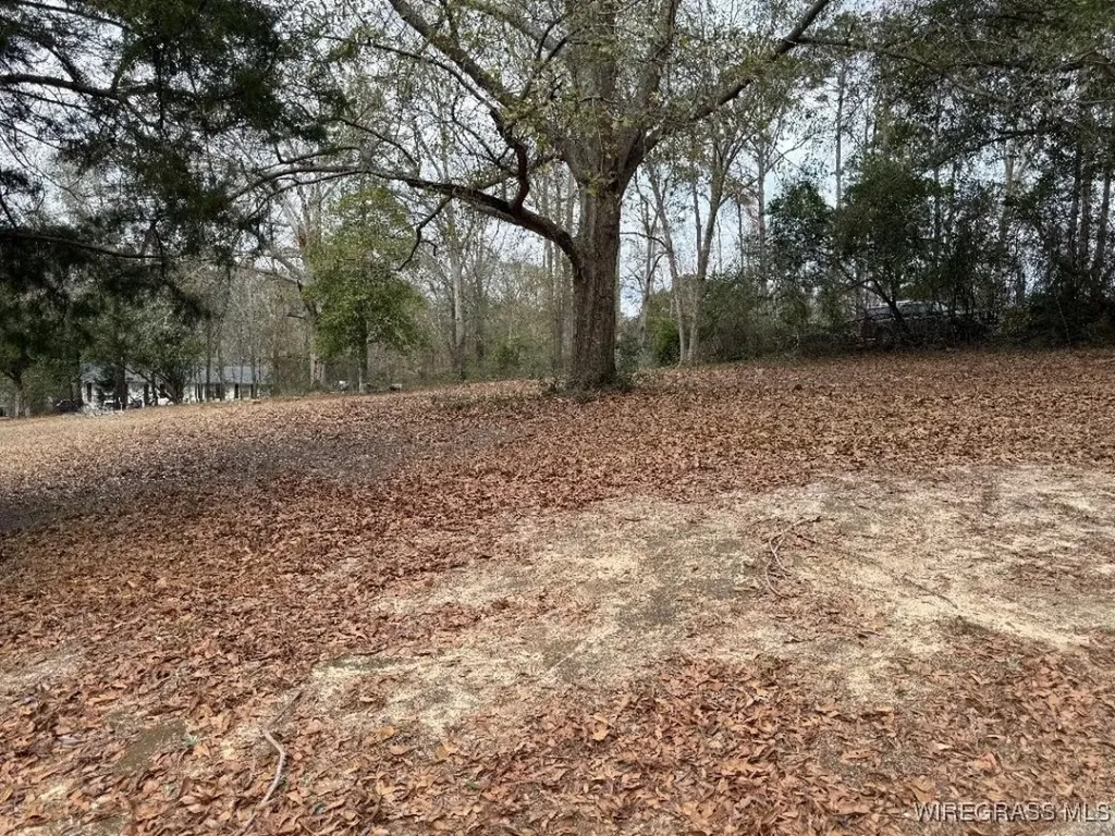 208 Green Street Enterprise AL 36330