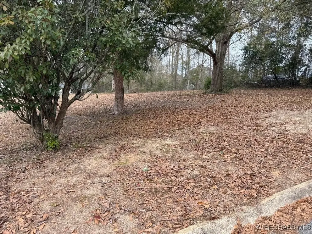 208 Green Street Enterprise AL 36330