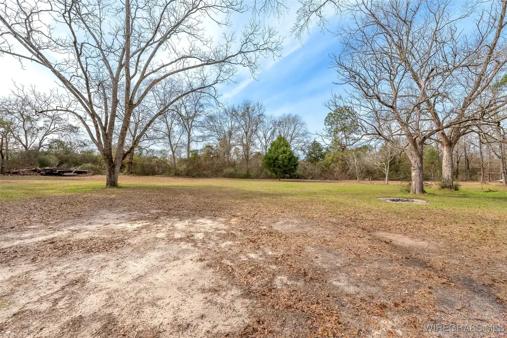 35273 Hesters Store Road Red Level AL 36474