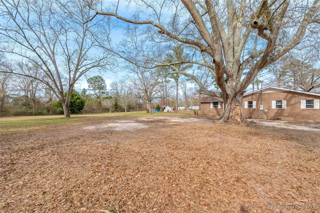 35273 Hesters Store Road Red Level AL 36474