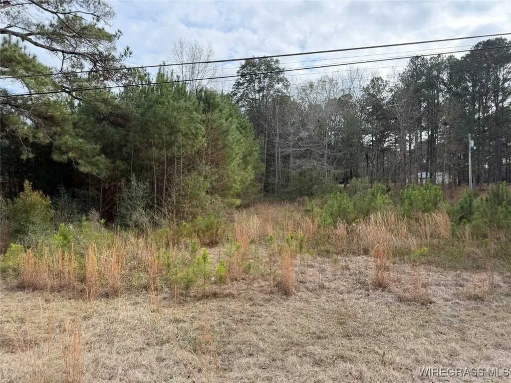 1511 Highland Drive Elba AL 36323