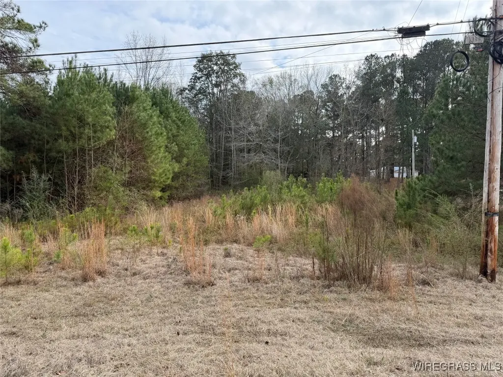 1511 Highland Drive Elba AL 36323