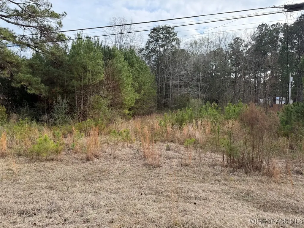 1511 Highland Drive Elba AL 36323