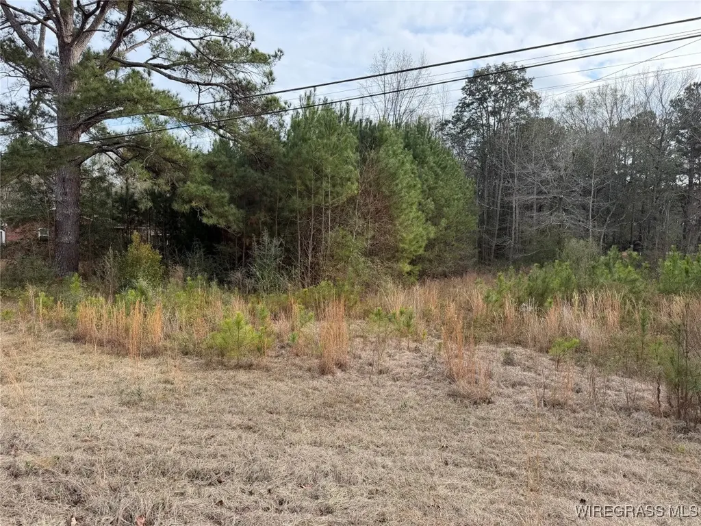 1511 Highland Drive Elba AL 36323
