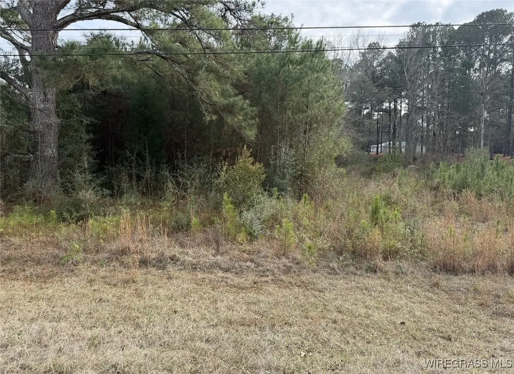 1511 Highland Drive Elba AL 36323