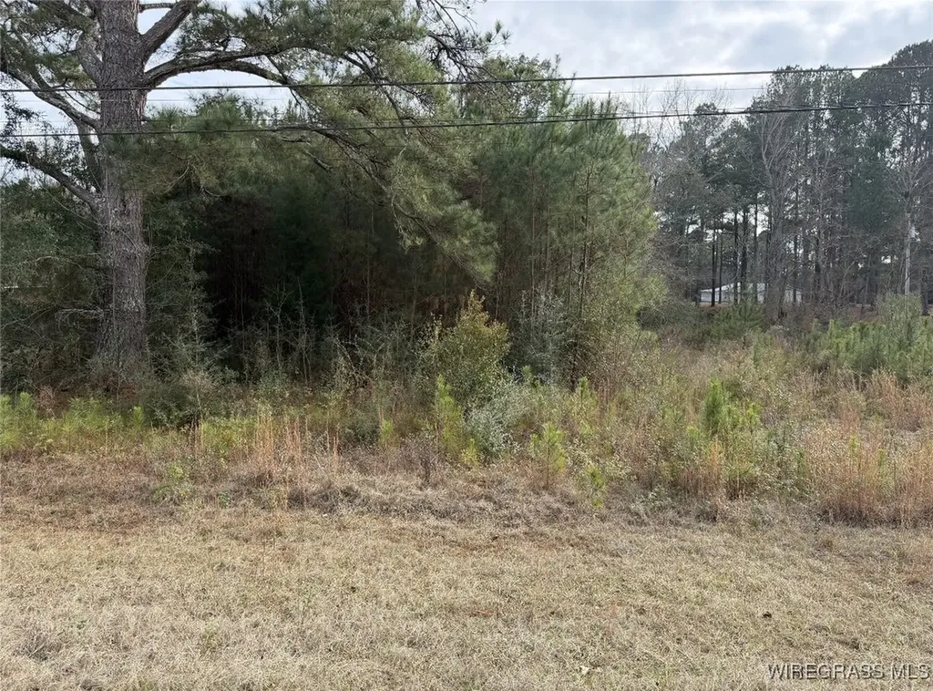 1511 Highland Drive Elba AL 36323
