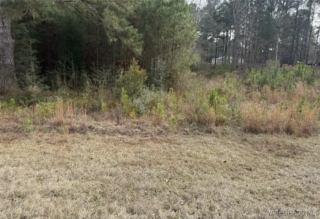 1511 Highland Drive Elba AL 36323