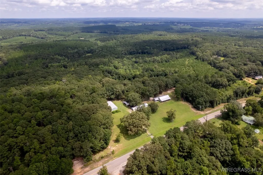 927 Highway 166 Elba AL 36323